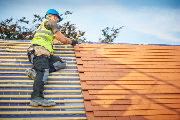 Best Rubber Roofing (EPDM, TPO)  in Burnsville, MN